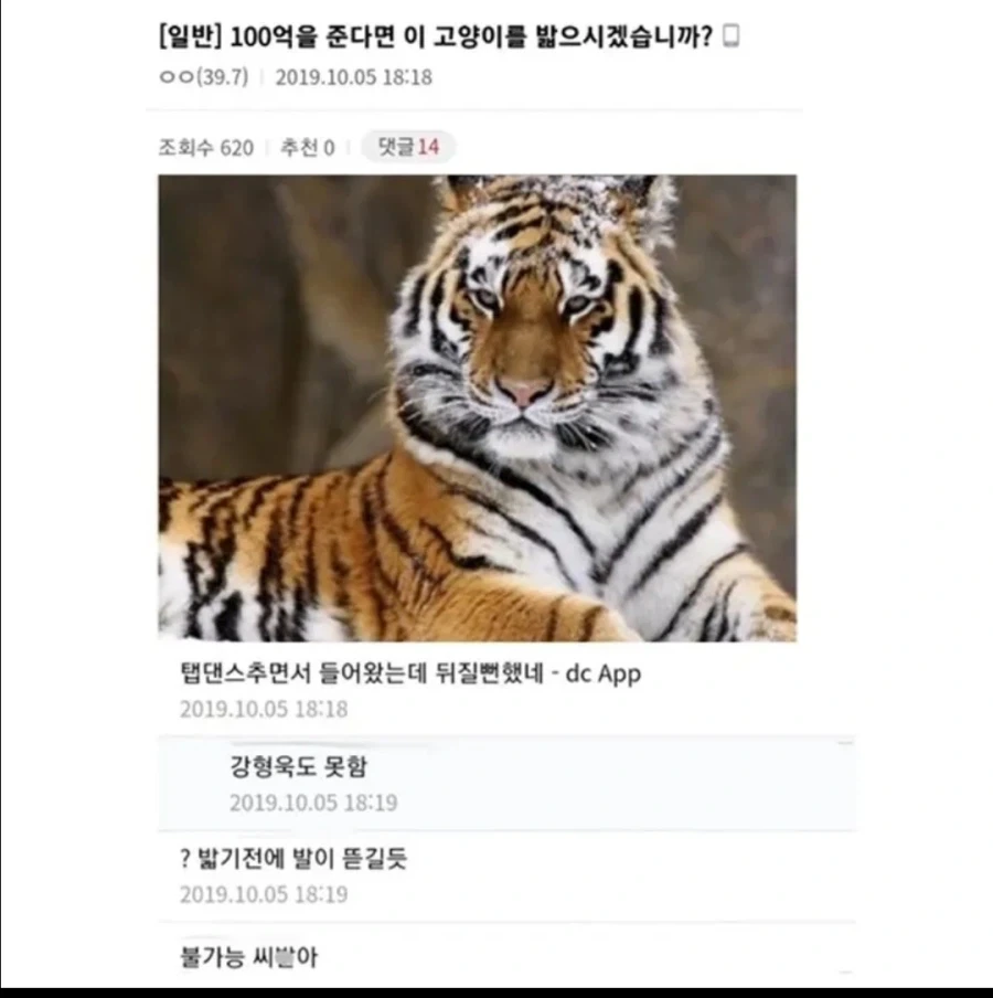 100억 주면 아기고양이든 나발이든 존나 짓밟을 수 있음_1.webp