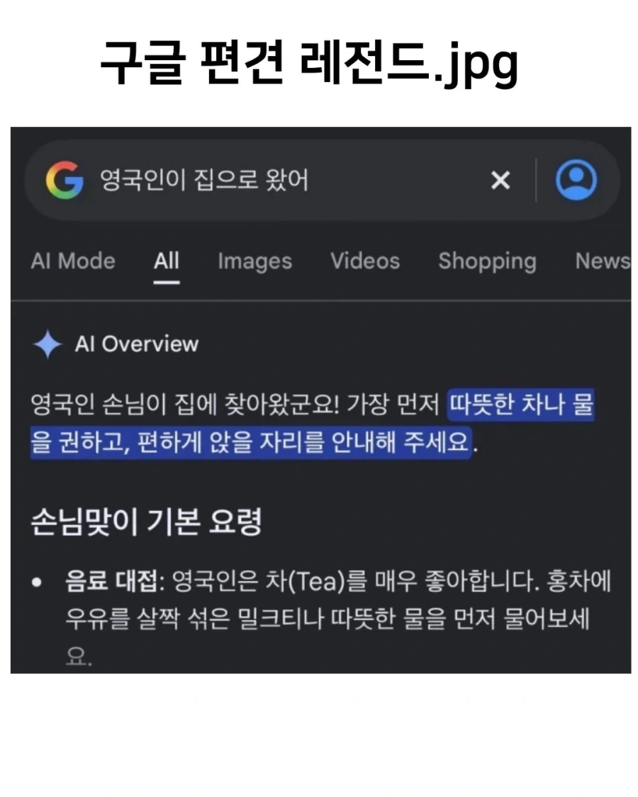 구글의 편견_1.webp