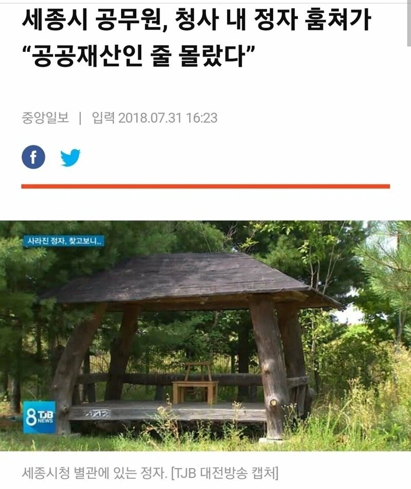 세종시에 등장한 정자도둑.jpg_1.webp