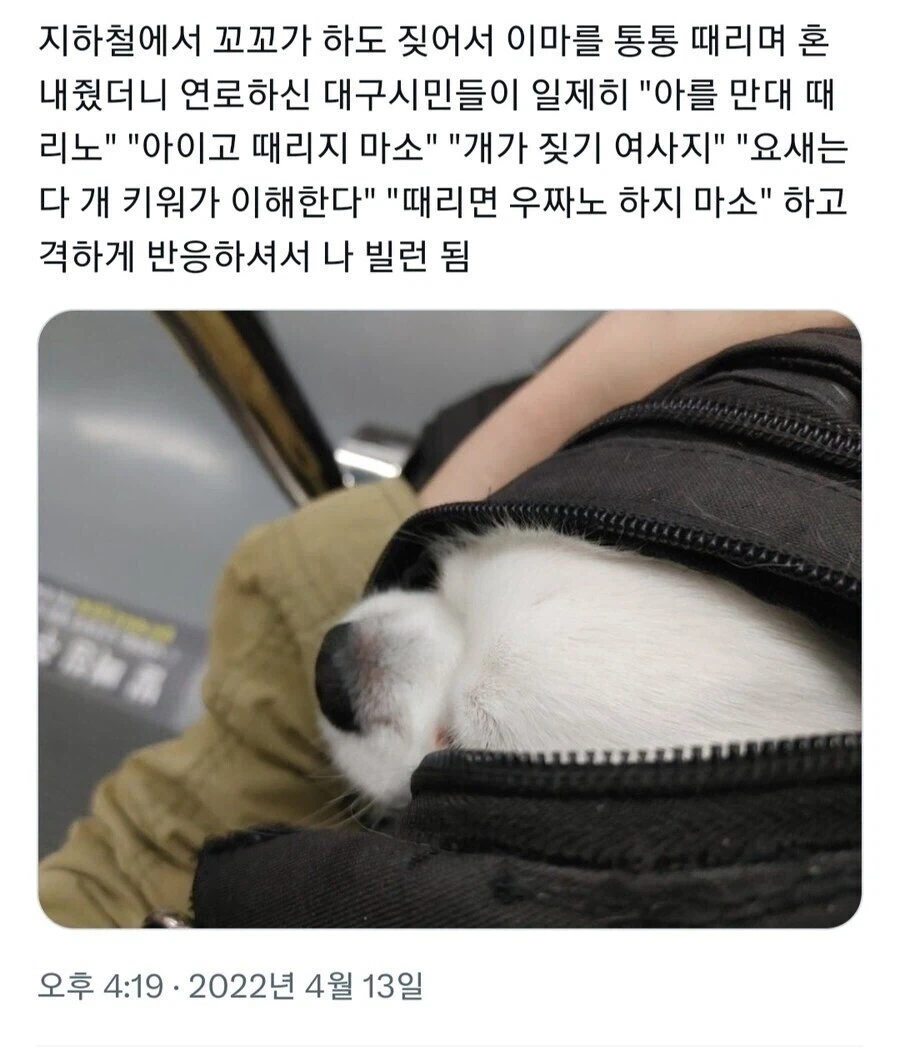 지하철 빌런이 된 사람.jpg_1.webp