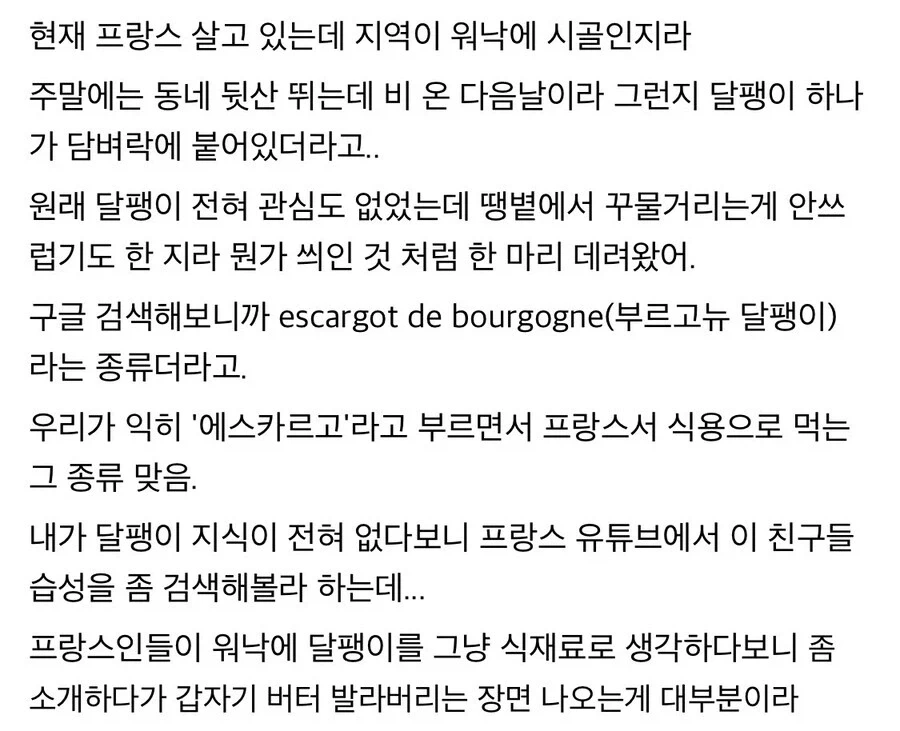 프랑스에서 달팽이 생태 자료 찾기 힘든 이유.jpg_1.webp