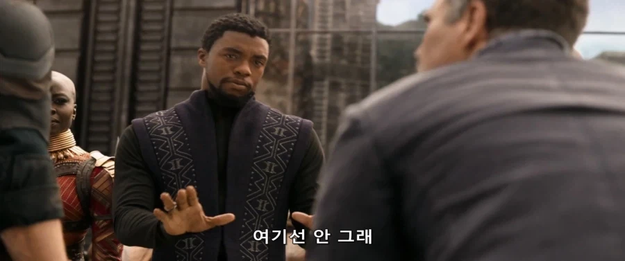 MCU)와칸다 왕국에 처음 와보는 브루스 배너_5.webp