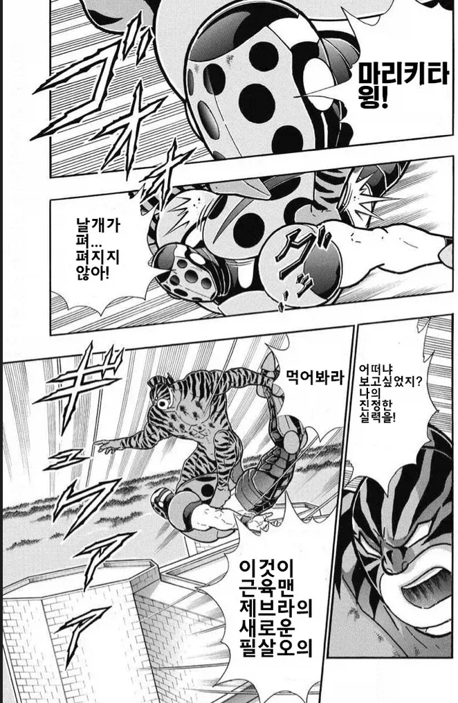 근육맨) 취급이 안 좋은 근육족의 비기 중 하나_7.webp