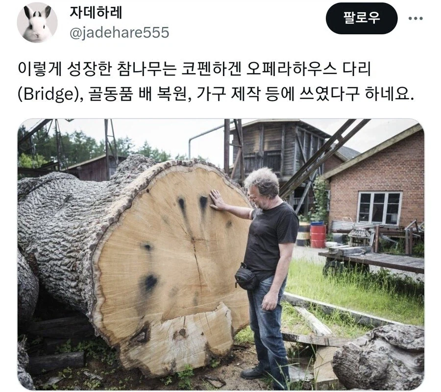 덴마크 군자의 복수는 200년이 지나도 늦지 않다.jpg_2.webp