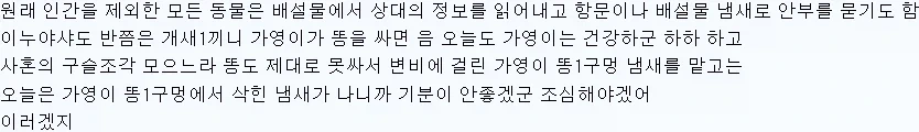 전국시대의 건강체크 방법_1.webp