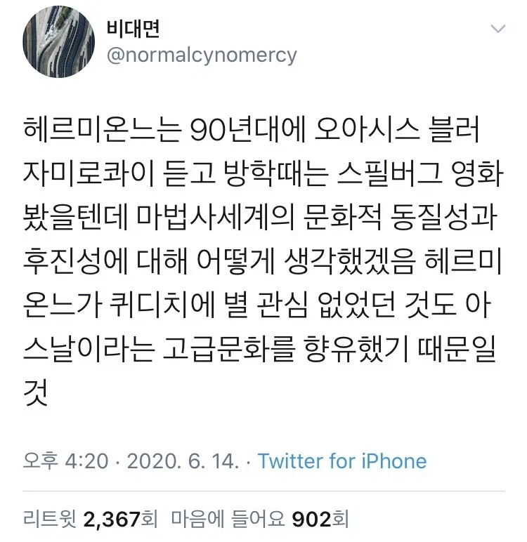 헤르미온느가 퀴디치같은 마법세계 문화에 관심없던 이유.jpg_1.webp