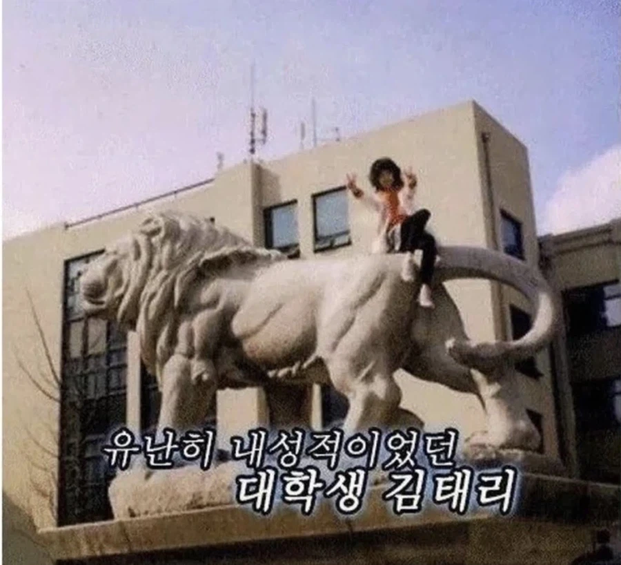 내성적이었던 배우들의 과거_2.webp