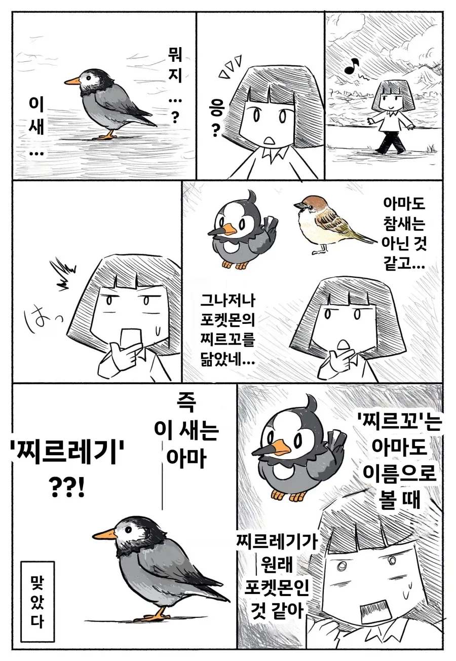 처음 보는 새의 이름을 맞췄다_1.webp