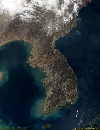 주식) 주식 분할의 민족_1.webp