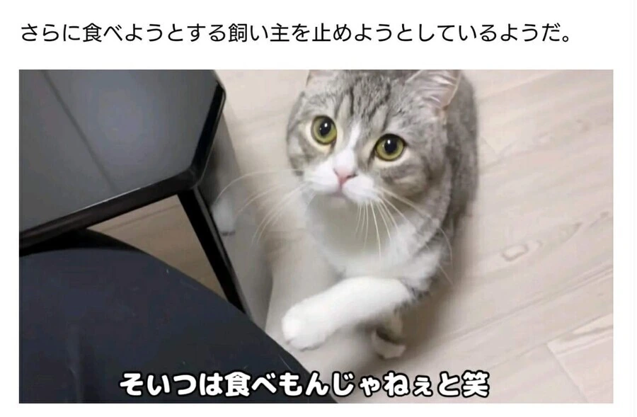 img/23/02/10/1863a132aab10d355.jpeg