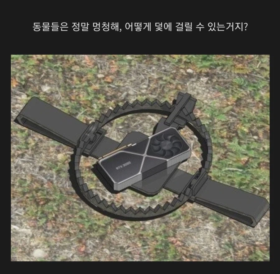 숲 속에서 함부로 주우면 위험한거_1.webp