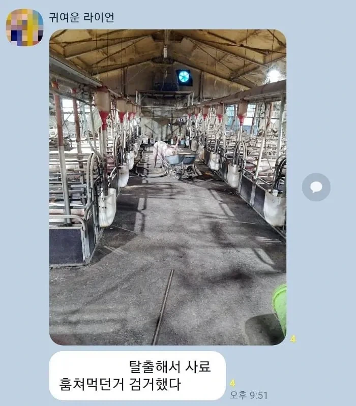 사료 도둑 검거함_1.webp