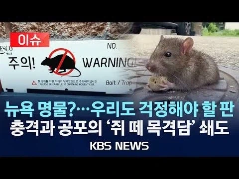 의외로 국내 문제 심각한데 언급 적은 것 중에 하나_1.webp