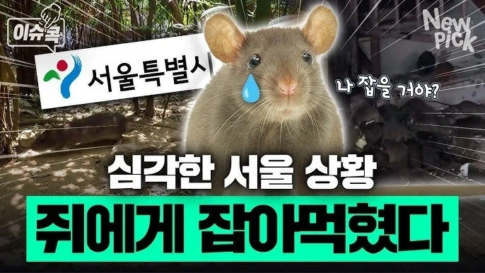 의외로 국내 문제 심각한데 언급 적은 것 중에 하나_2.webp