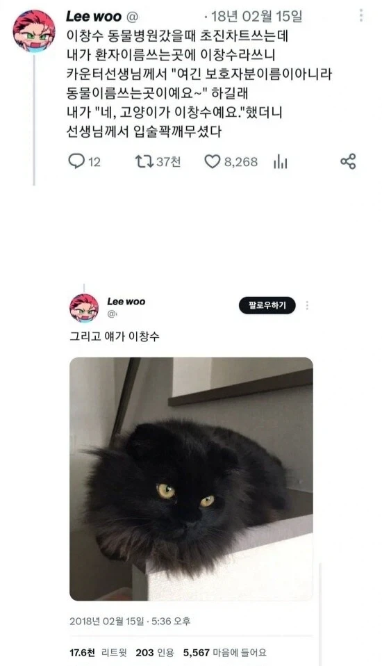 고양이 이름 대참사_1.webp