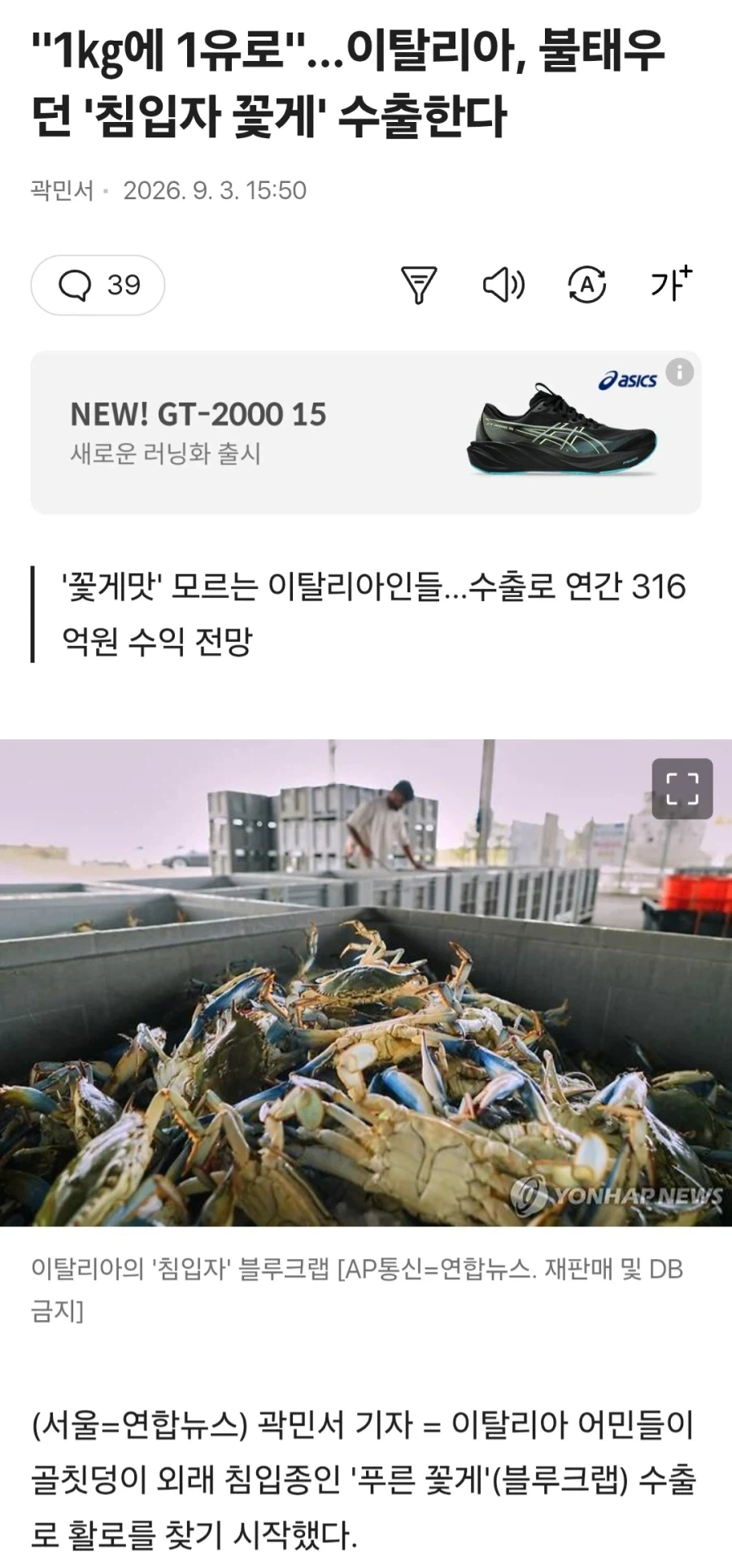 이제야 장사를 할 줄 알게 된 이탈리아_1.webp