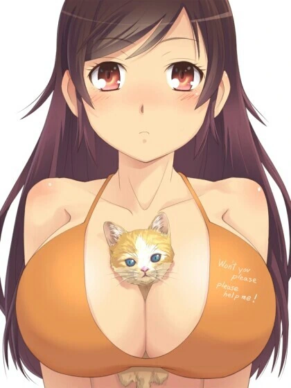manga_2847884_008.webp