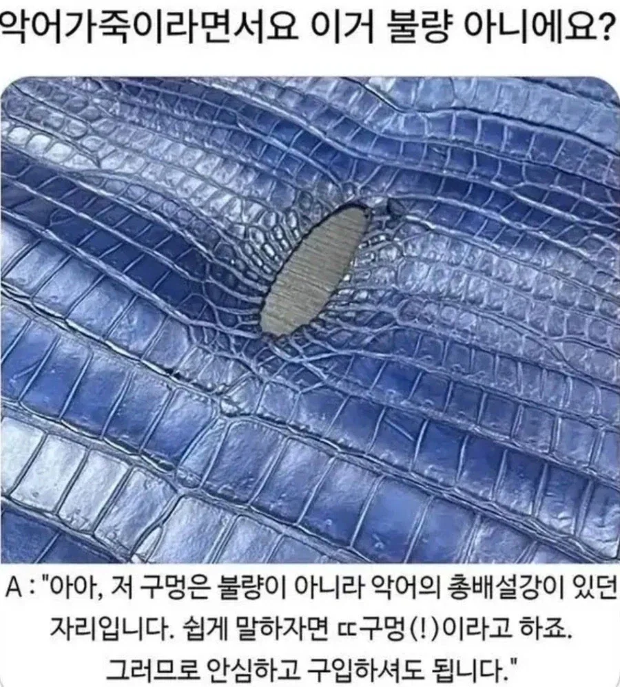 악어의 애널가죽_1.webp