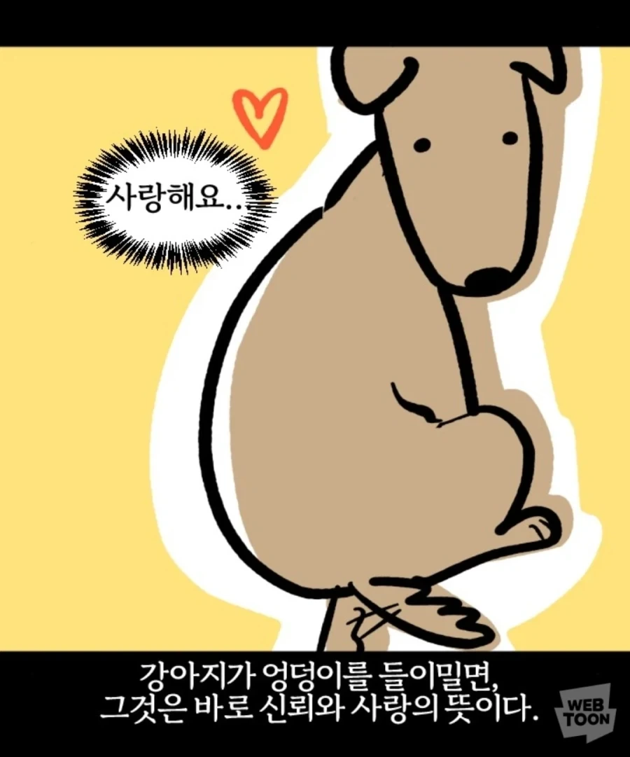 사람 vs 개_3.webp