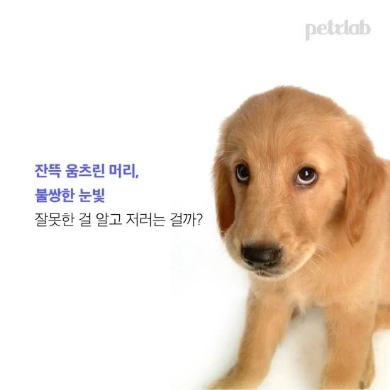 그 표정_1.webp