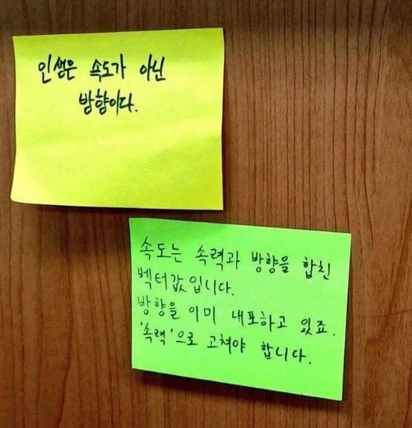 인생은