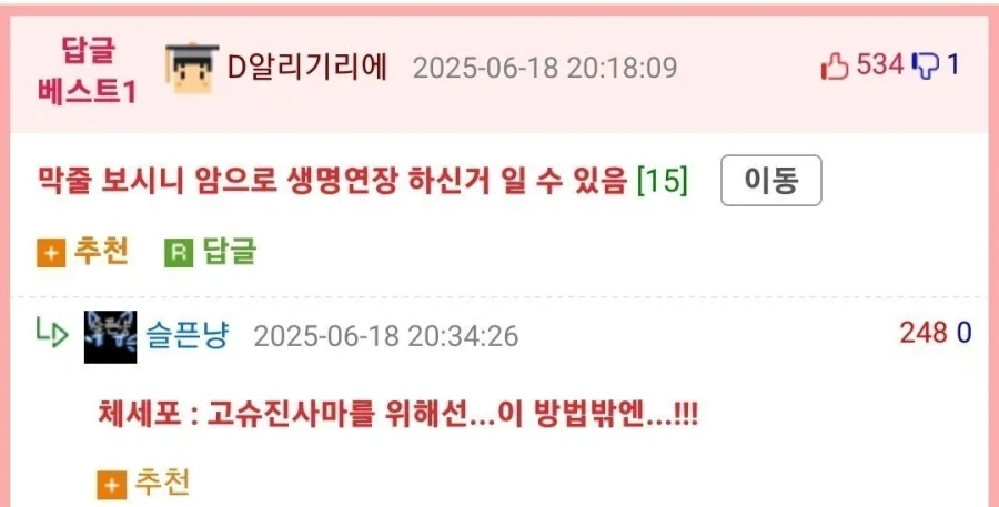 의외로 암으로 생명을 연장한 경우_2.webp