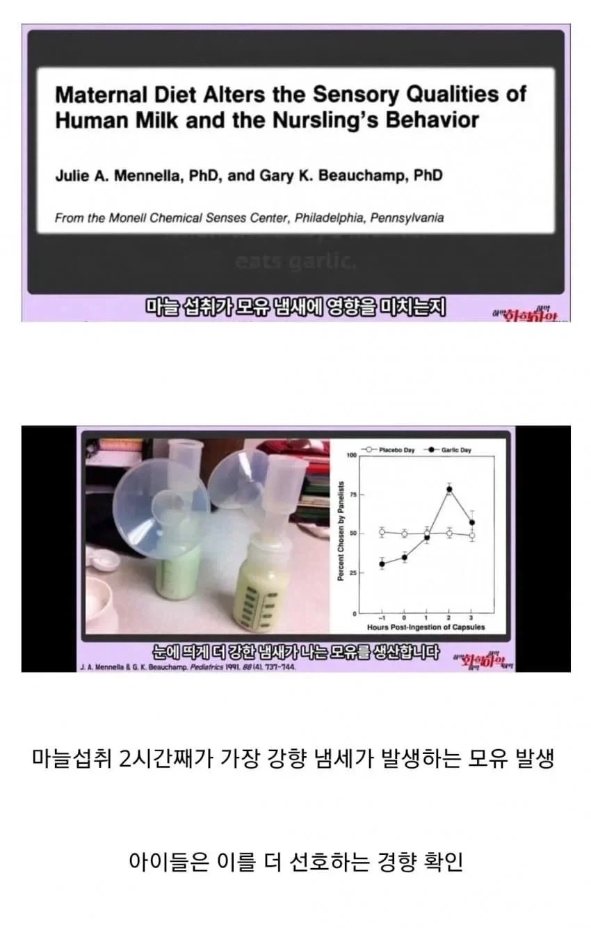 마늘이 모유에 미치는 영향_1.webp