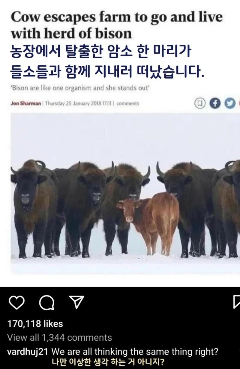 음지에서 흔히보이는 전개_1.webp
