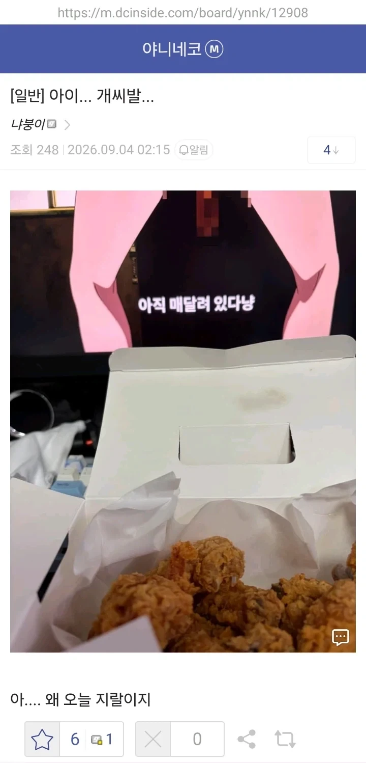 시청자 테러중인 담배고양이_1.webp