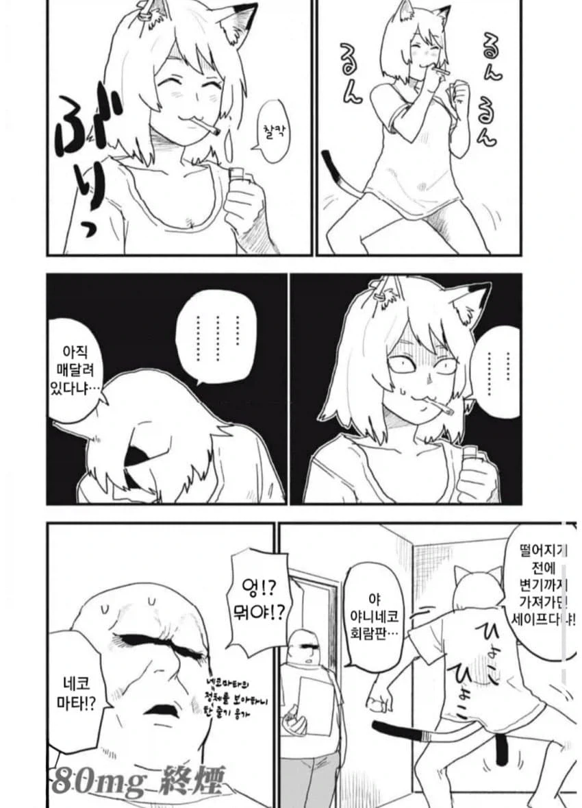 시청자 테러중인 담배고양이_2.webp