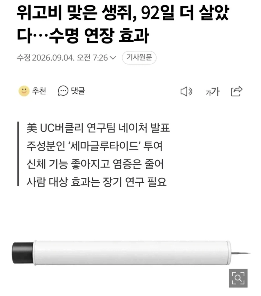 위고비 맞은 생쥐, 92일 더 살았 다…수명 연장 효과_1.webp