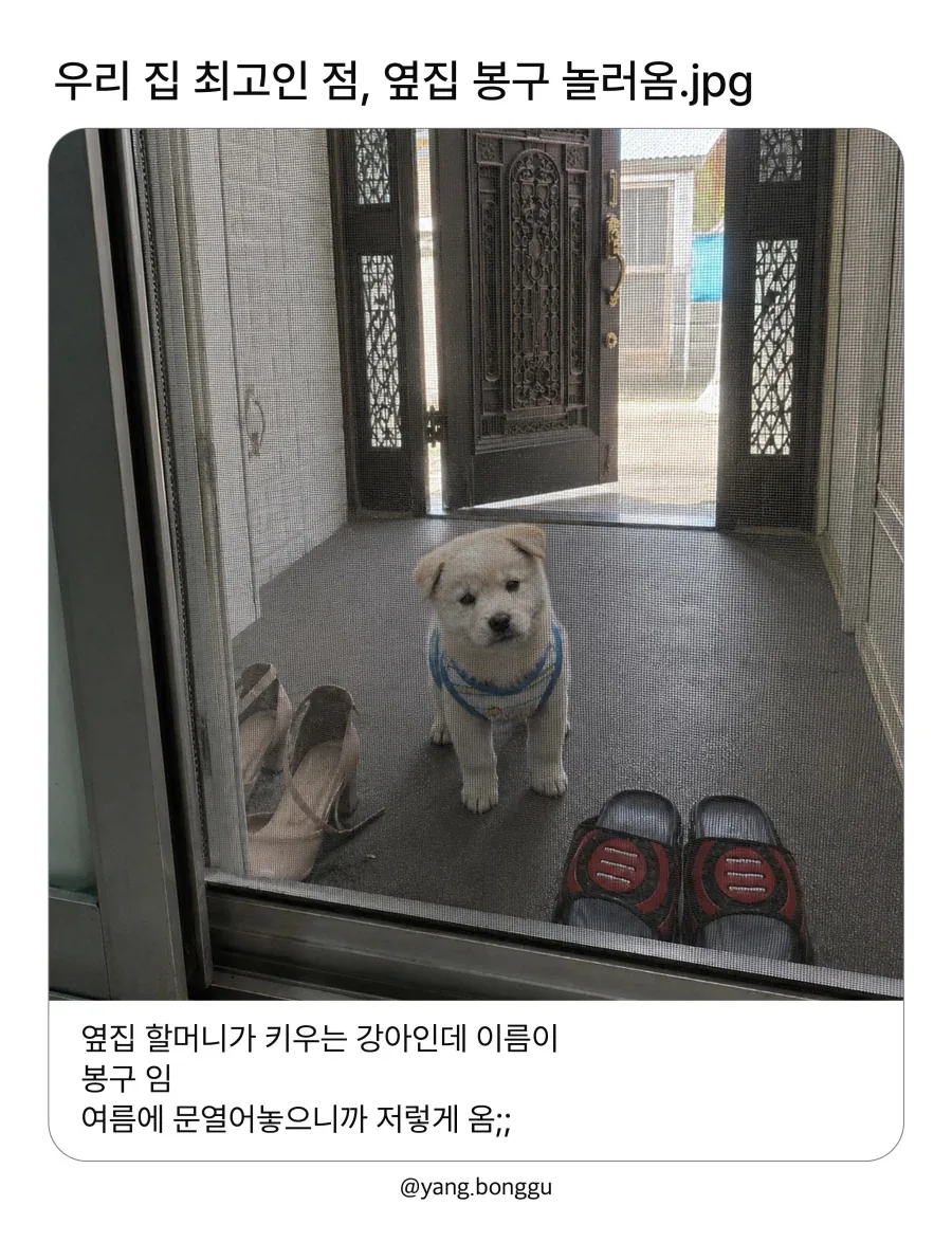 우리집이 최고라는 사람._1.webp