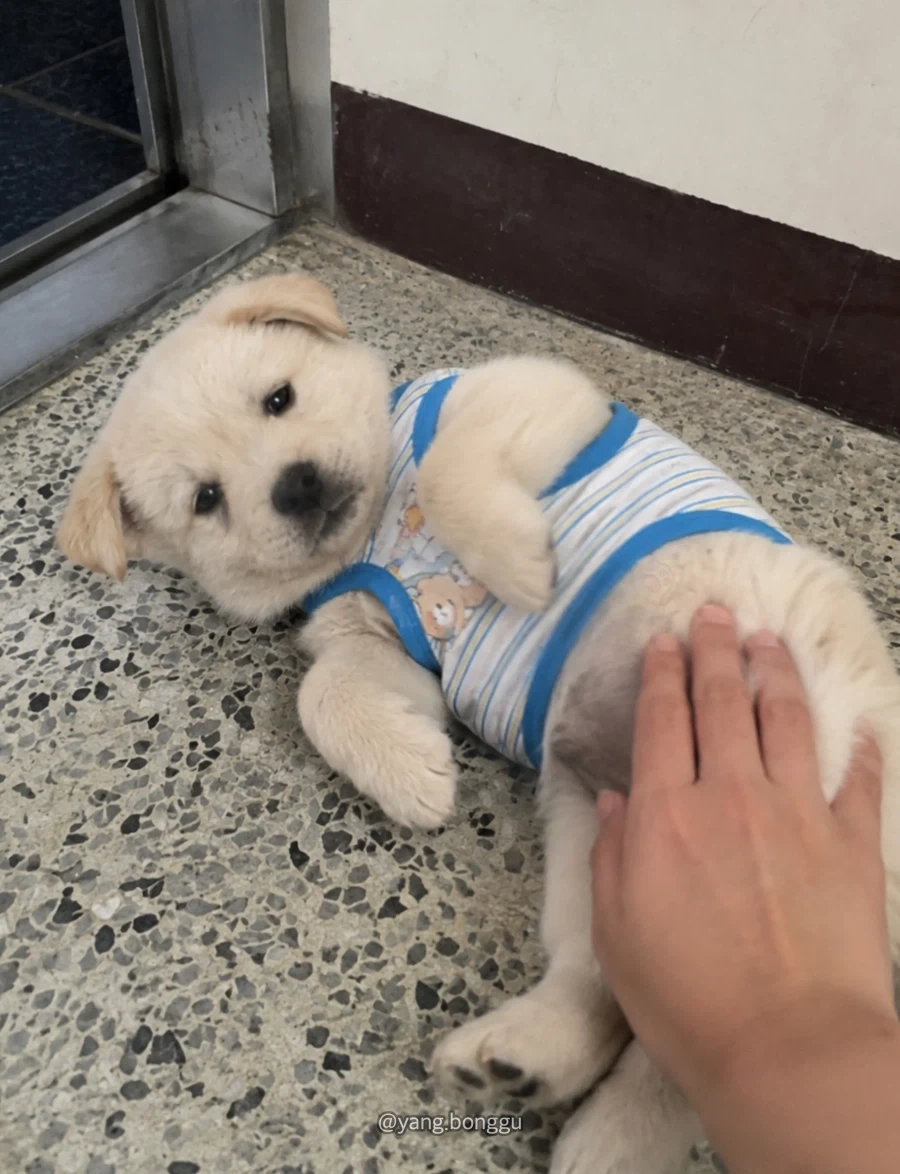 우리집이 최고라는 사람._2.webp
