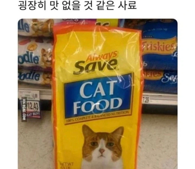 굉장히 맛없을거같은 사료 .jpg_1.webp