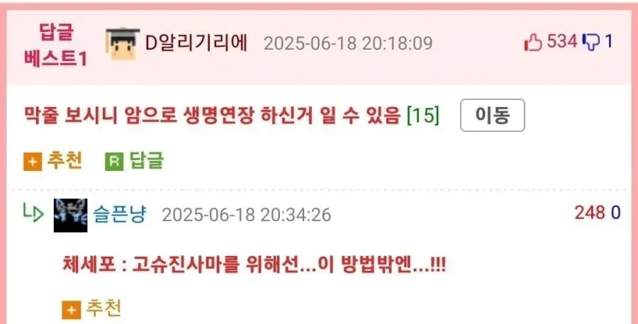 암으로 생명연장을 한 경우.jpg_2.webp