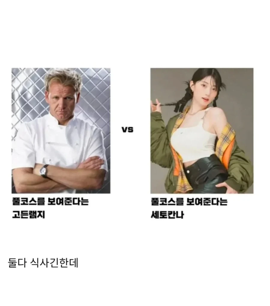 호불호가 있는 풀코스 vs 풀코스_1.webp