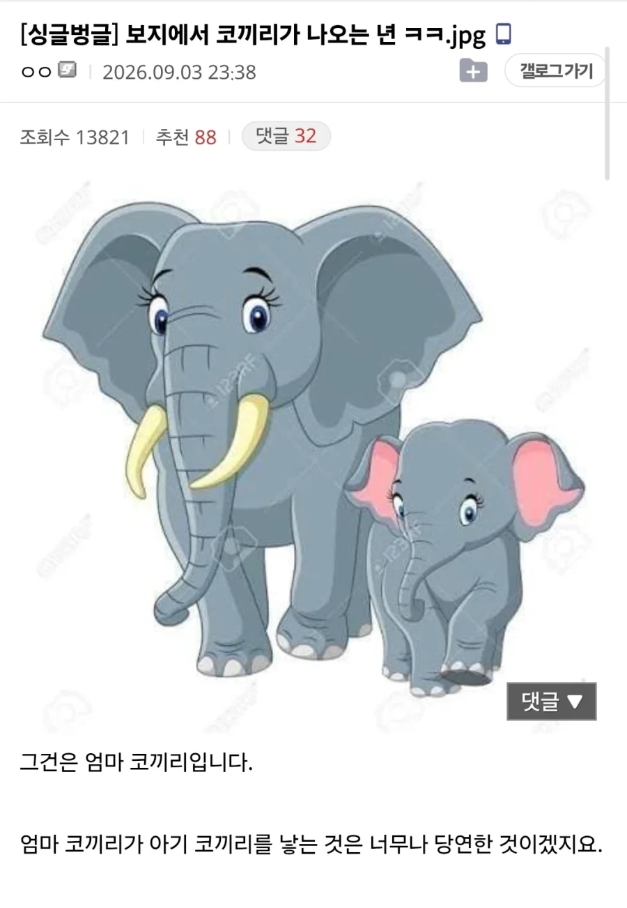 Bo지에서 코끼리가 나오는 년_1.webp