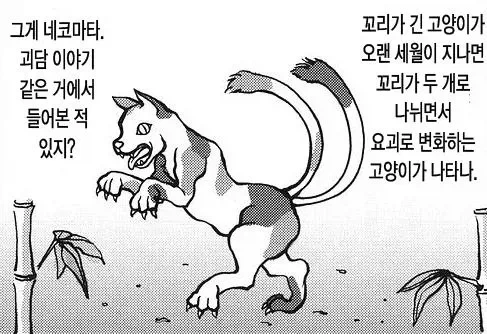 담배고양이 9화 킬링포인트_1.webp