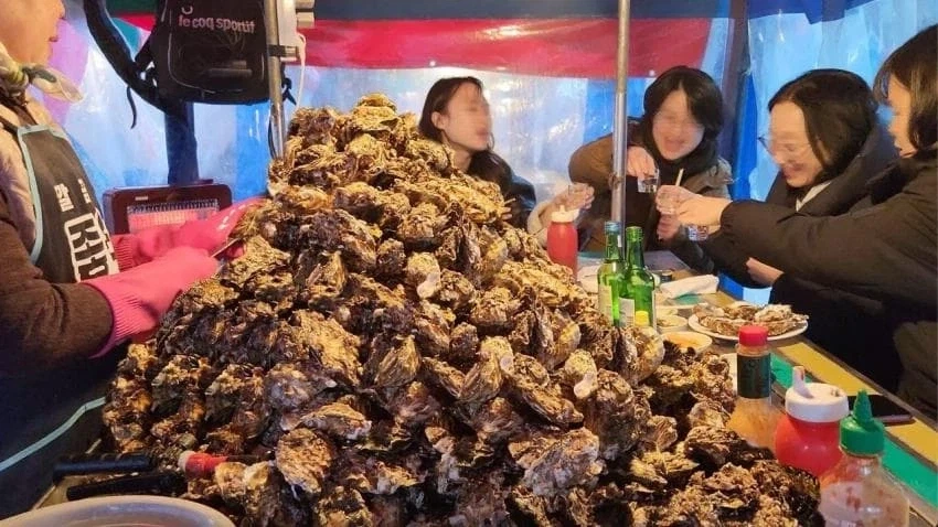 한국의 최고 관광지, 굴.jpg_2.webp