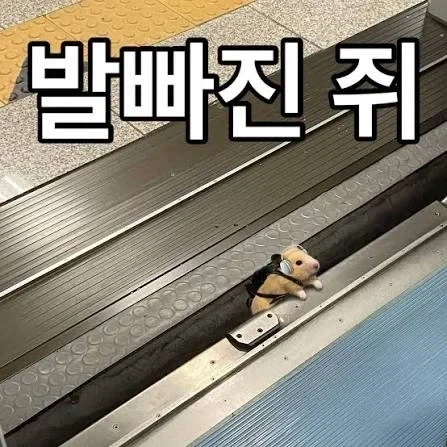 슈크림 도어가 열립니다._1.webp