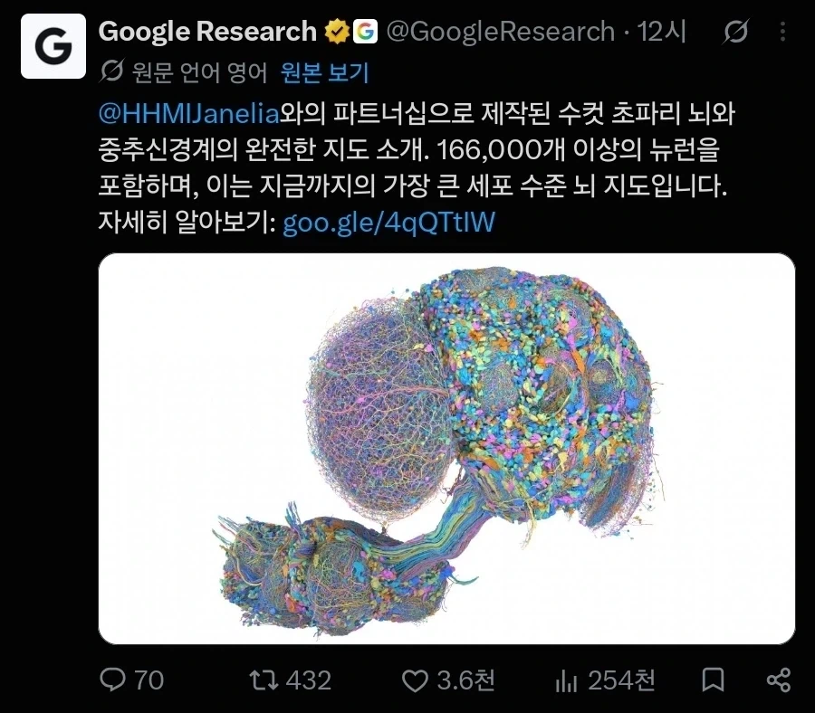 데이터로 구현 가능한 뇌 추가됨_1.webp
