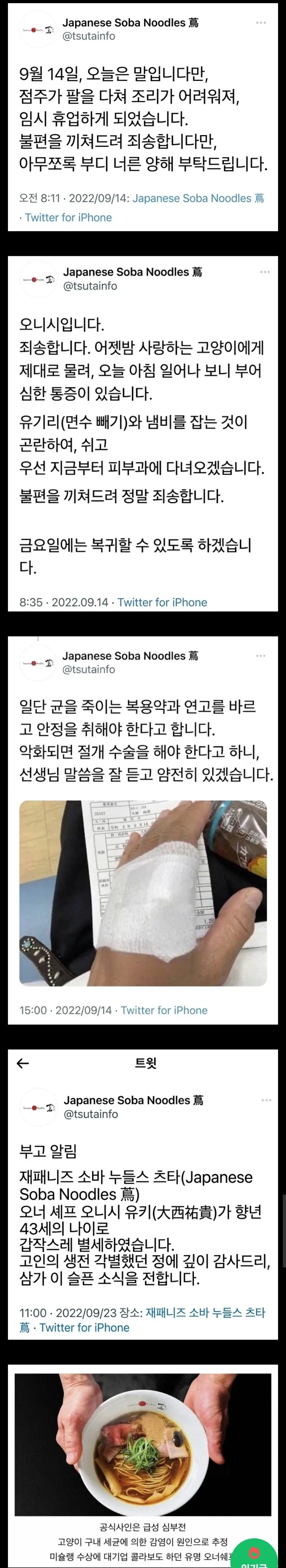 고양이가 당신 생각보다 훨씬 위험한 동물인 이유_1.webp