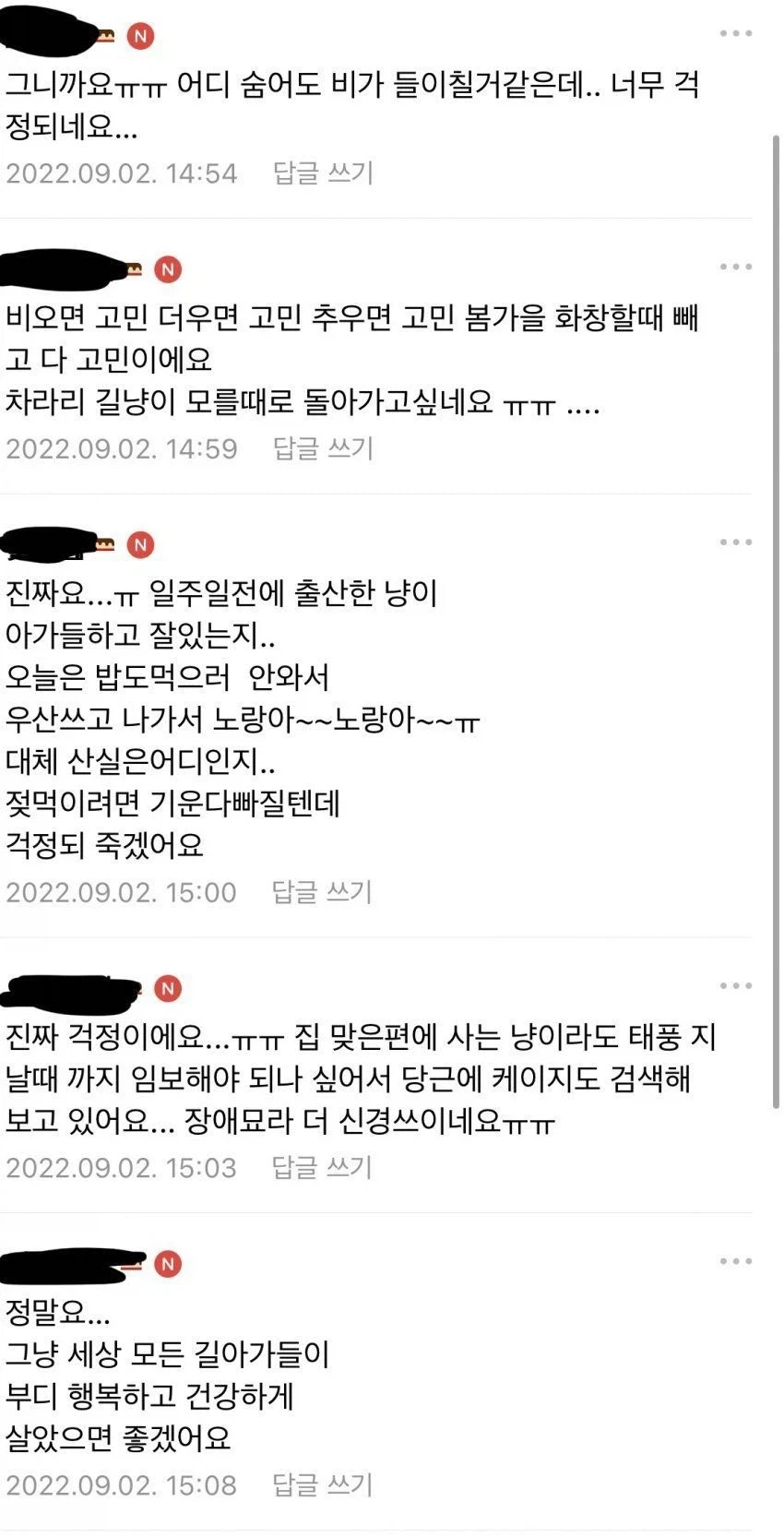 태풍에도 꺾이지 않는 캣맘들의 신념_2.webp