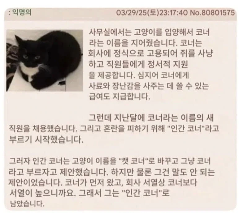 하극상을 시도한 신입_1.webp