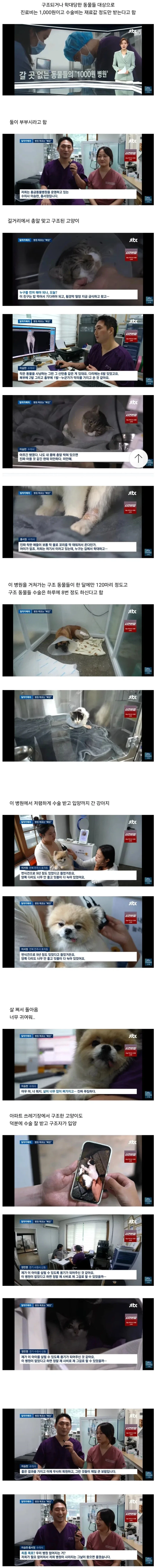 자기 병원이 망했으면 좋겠다는 수의사_1.webp