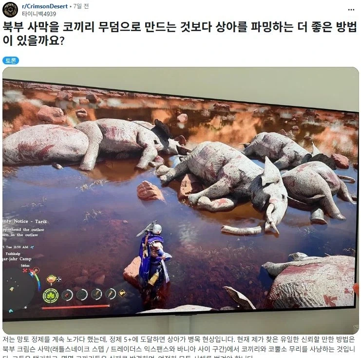 붉은사막) 코끼리 상아 구할려고 코끼리 학살하는 유저_1.webp