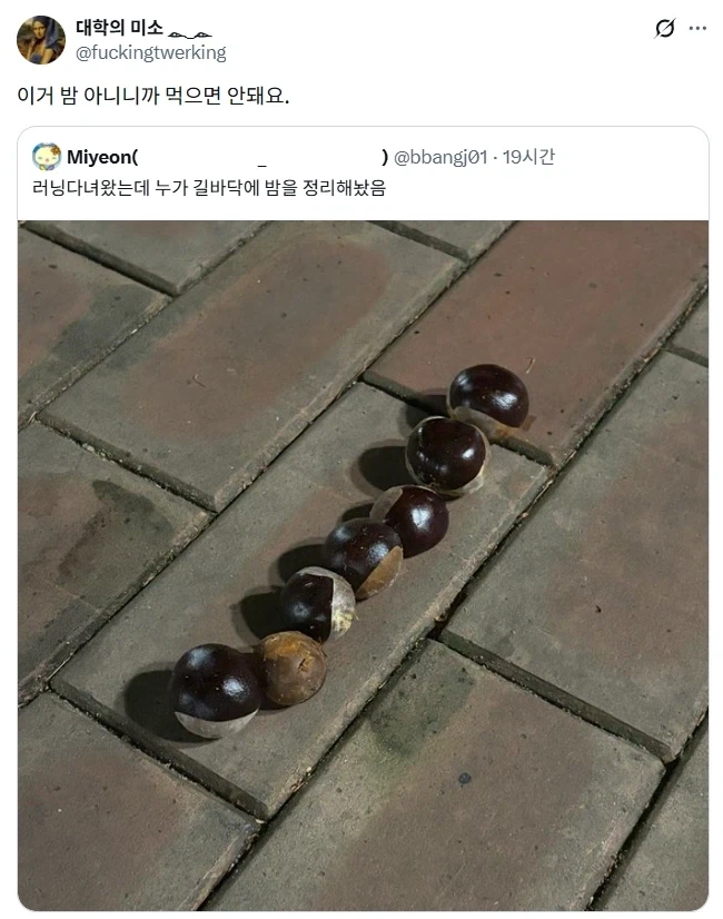 와 길바닥에 밤이 있네.jpg_1.webp