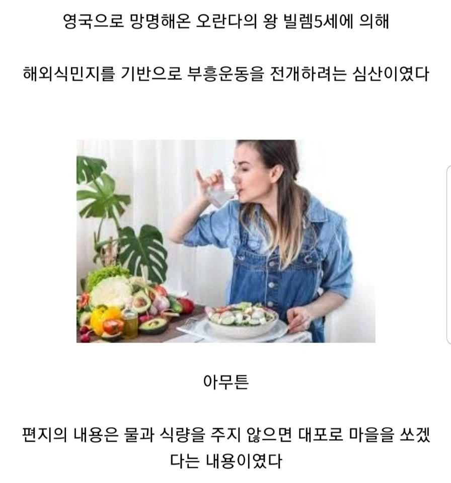 일본의 쇄국과 조선통신사가 종료하게 된 계기.jpg_6.webp