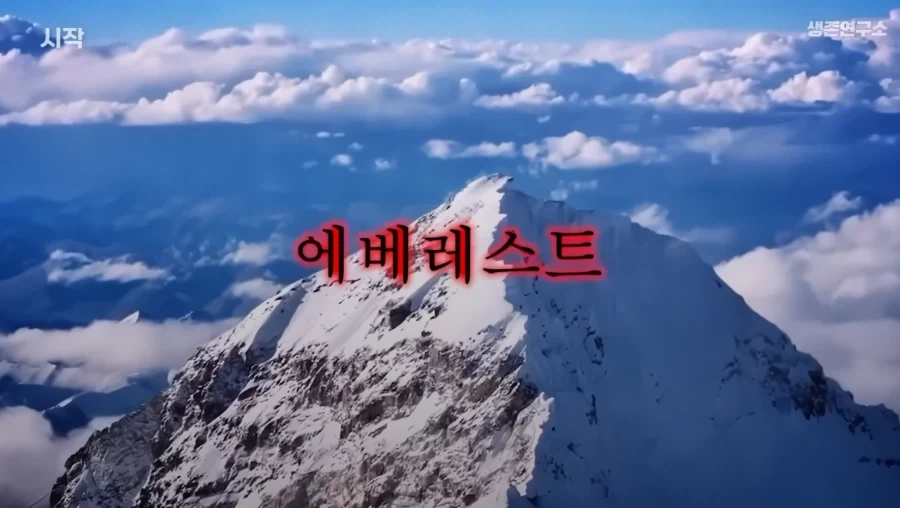 (등산) 죽음의 산으로 불리는 인류 역사상 최악의 산.JPG_1.webp