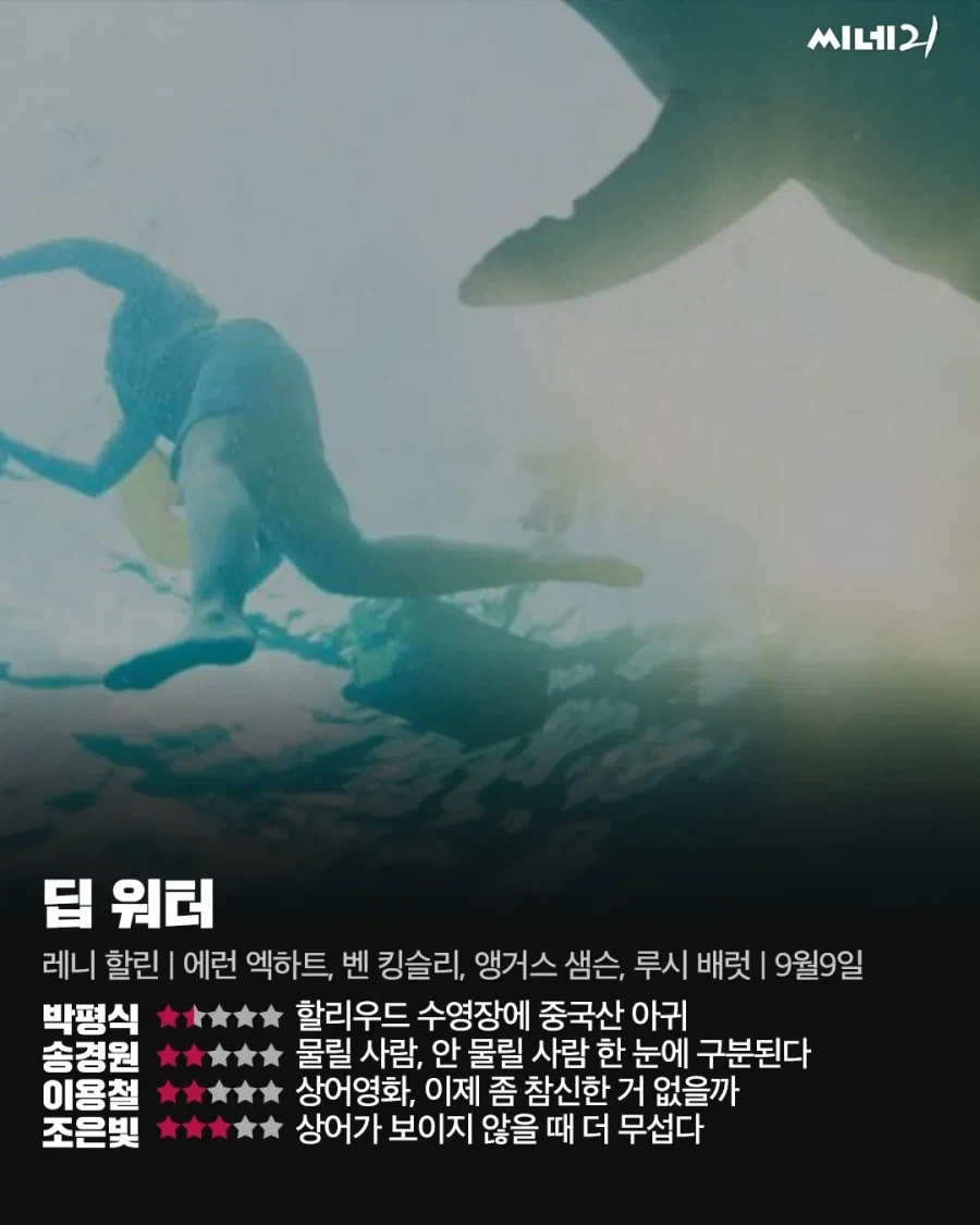 박평식 영화평 레전드 갱신_1.webp
